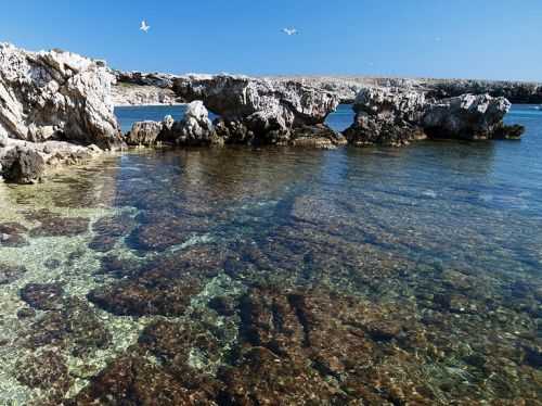 Foto offerta EGADI TREKKING, immagini dell'offerta EGADI TREKKING di Ovunque viaggi.